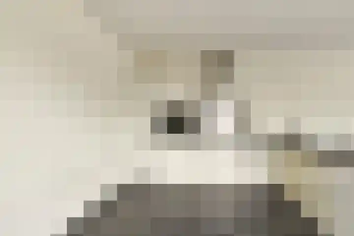 Kraanbaan 38 Alblasserdam thumbnail 15