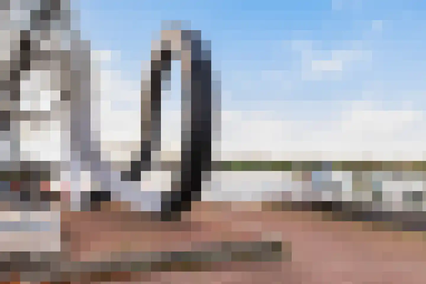 Kraanbaan 42 Alblasserdam thumbnail 21