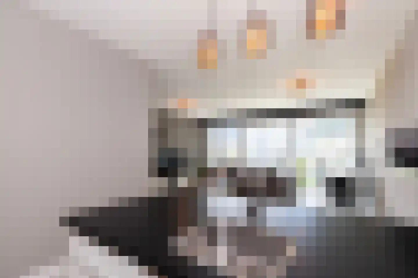 Kraanbaan 42 Alblasserdam thumbnail 4