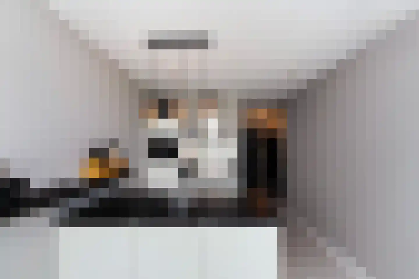 Kraanbaan 42 Alblasserdam thumbnail 6