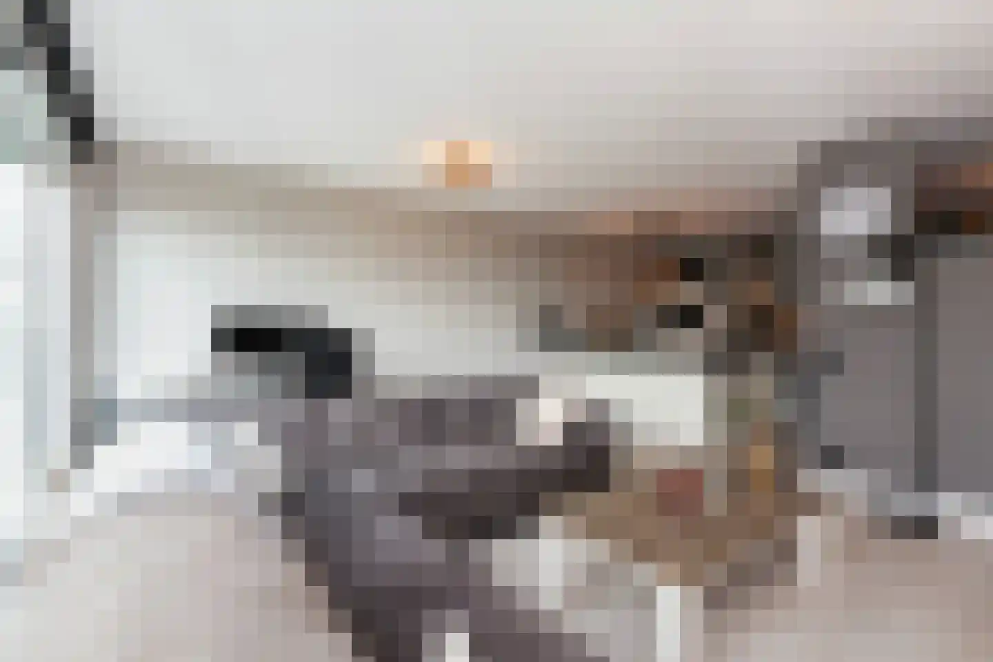 Kraanbaan 42 Alblasserdam thumbnail 8