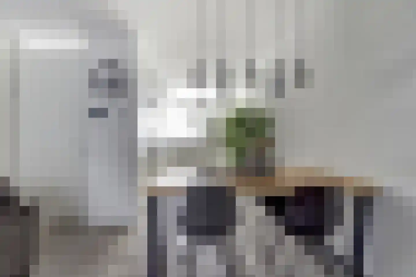 Kraanbaan 65 Alblasserdam thumbnail 10
