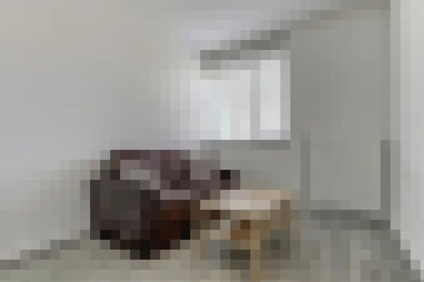 Kraanbaan 65 Alblasserdam thumbnail 32