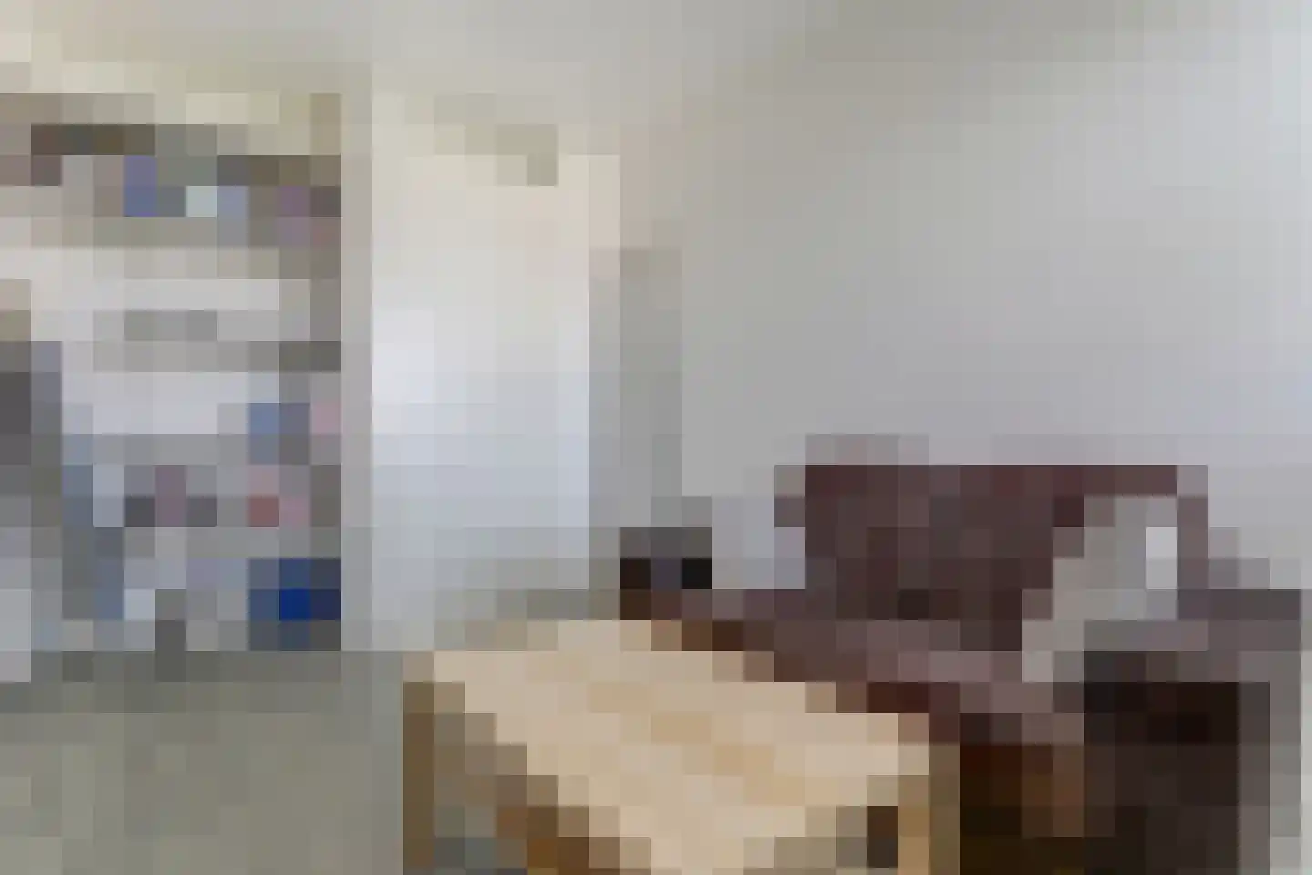 Kraanbaan 65 Alblasserdam thumbnail 33