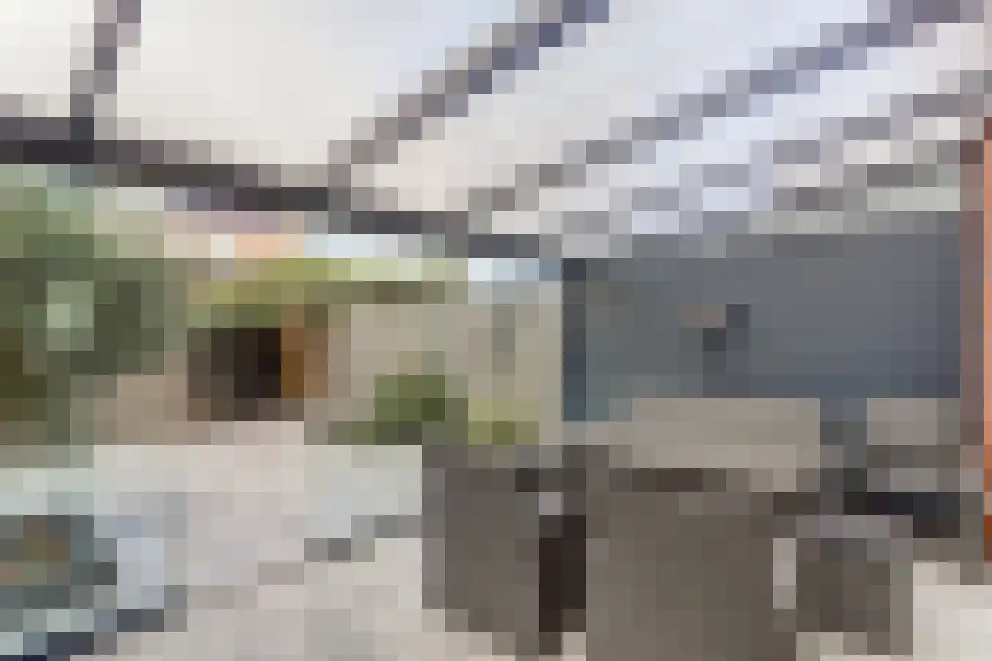 Kraanbaan 65 Alblasserdam thumbnail 42