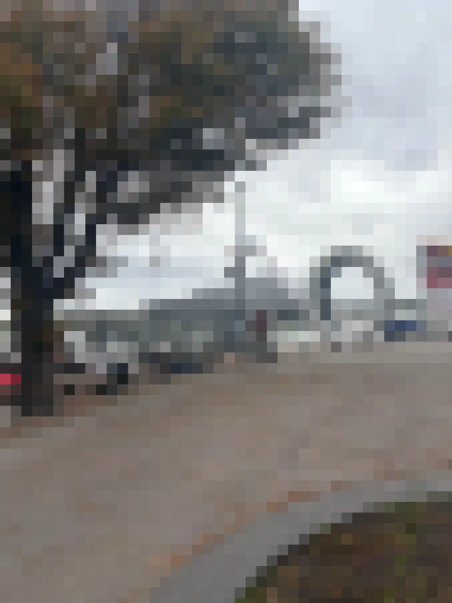 Kraanbaan 65 Alblasserdam thumbnail 57