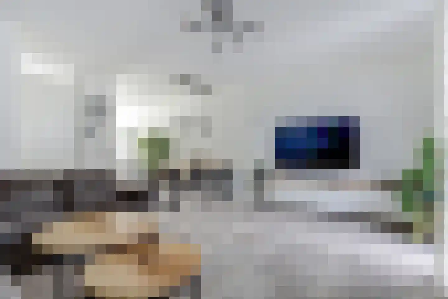 Kraanbaan 65 Alblasserdam thumbnail 9