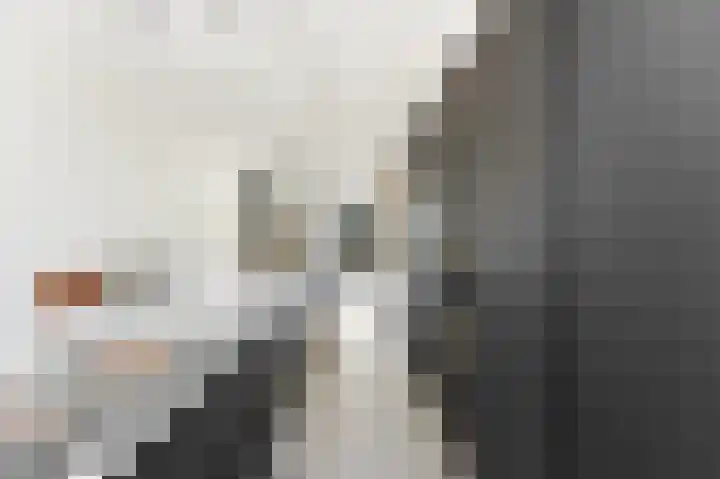 Kraanbaan 9 Ridderkerk thumbnail 16