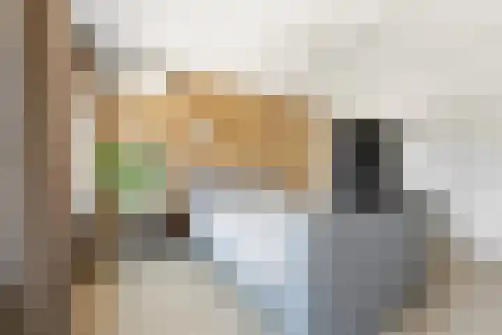 Kraanbaan 9 Ridderkerk thumbnail 22