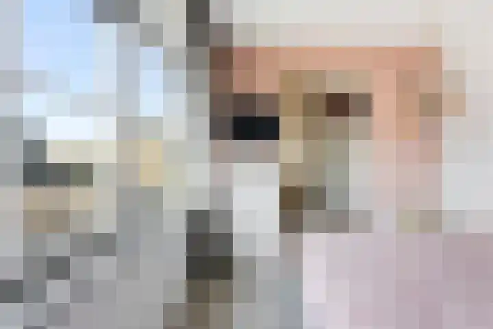 Kraanbaan 9 Ridderkerk thumbnail 29