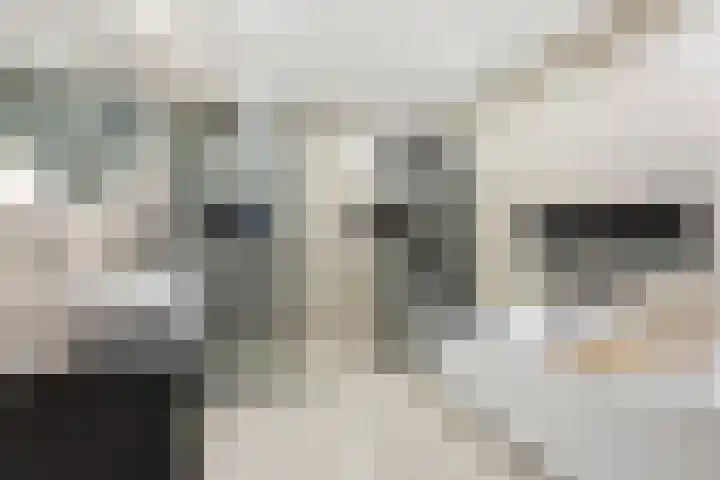 Kraanbaan 9 Ridderkerk thumbnail 31