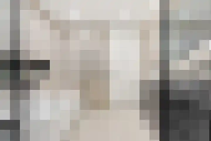 Kraanbaan 9 Ridderkerk thumbnail 32