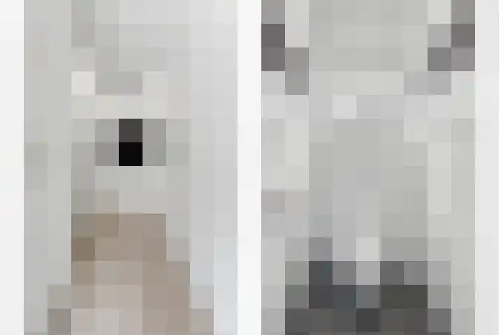 Kraanbaan 9 Ridderkerk thumbnail 34