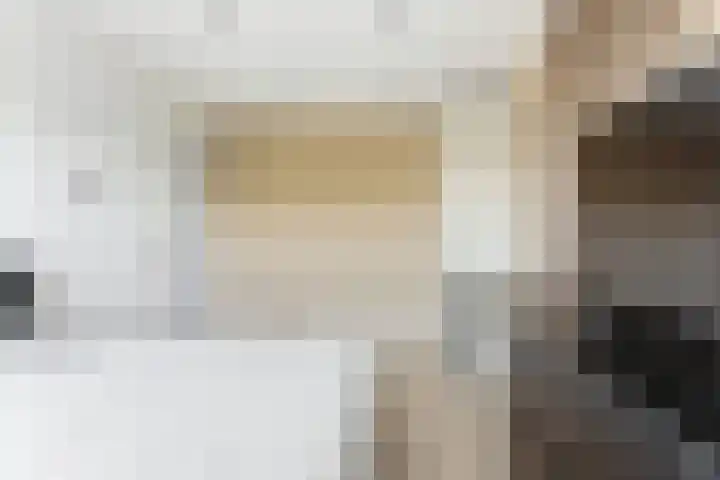 Kraanbaan 9 Ridderkerk thumbnail 38