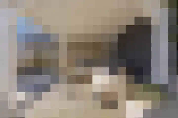 Kraanbaan 9 Ridderkerk thumbnail 48