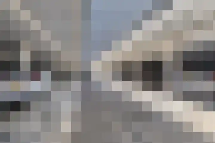 Kraanbaan 94 Alblasserdam thumbnail 24