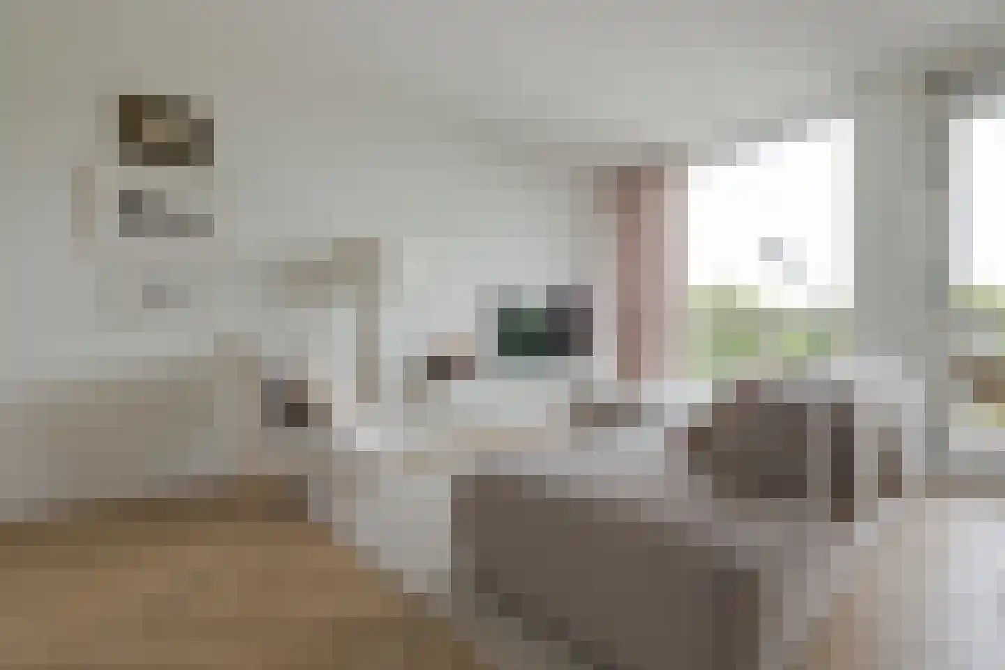 Kraanbolwerkhof 14 Zwolle thumbnail 16
