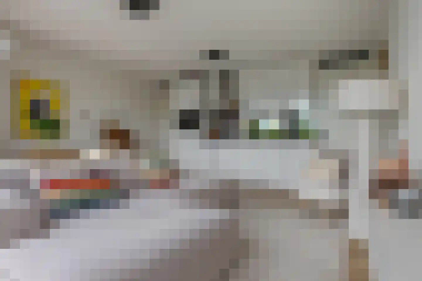 Kraanbolwerkhof 14 Zwolle thumbnail 18