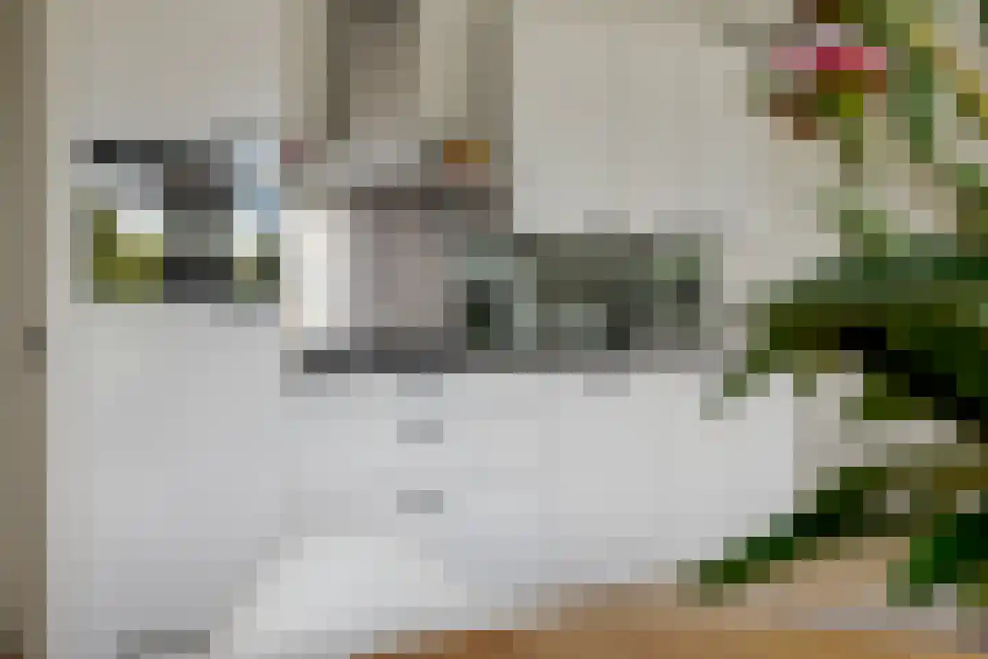 Kraanbolwerkhof 14 Zwolle thumbnail 20