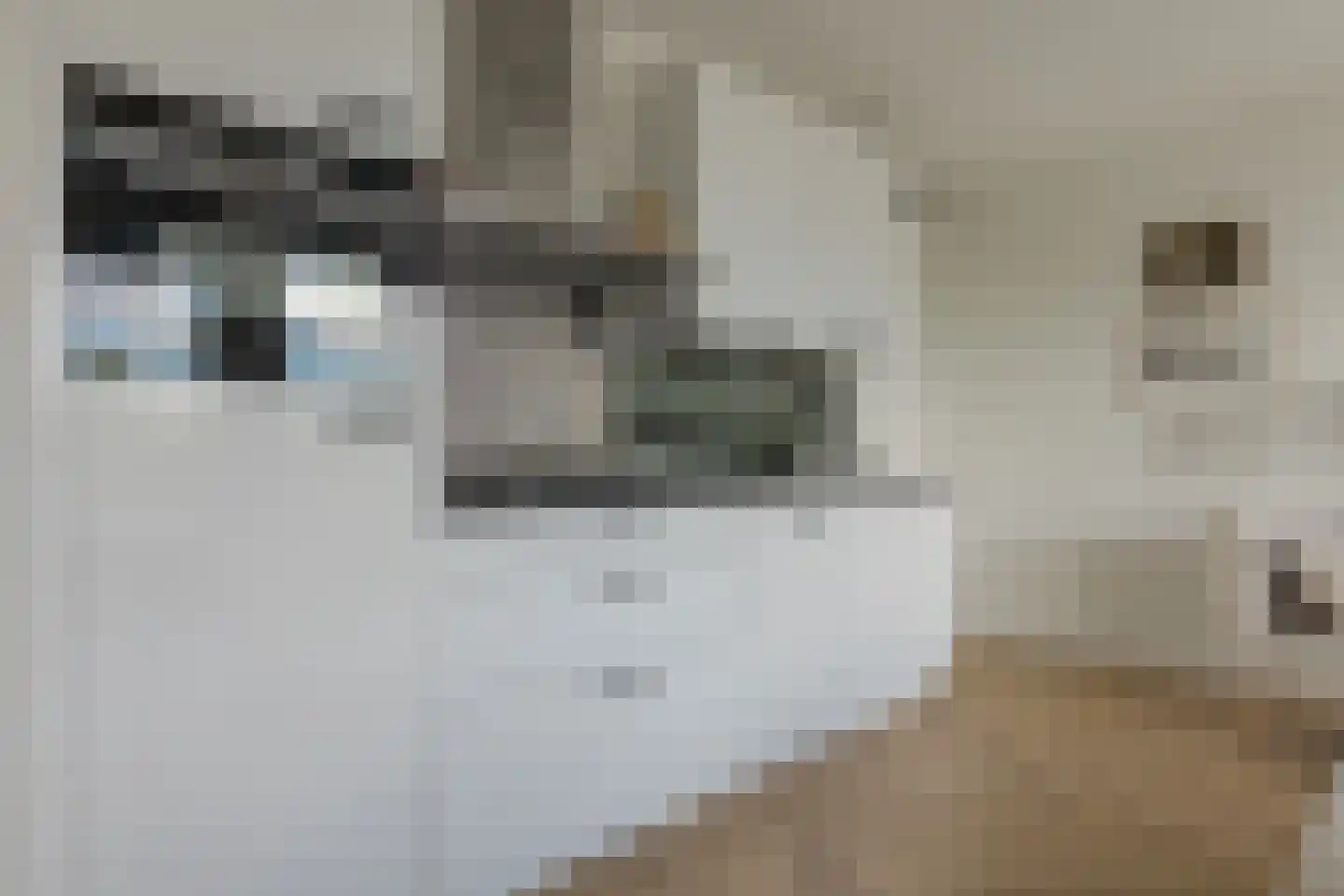 Kraanbolwerkhof 14 Zwolle thumbnail 22