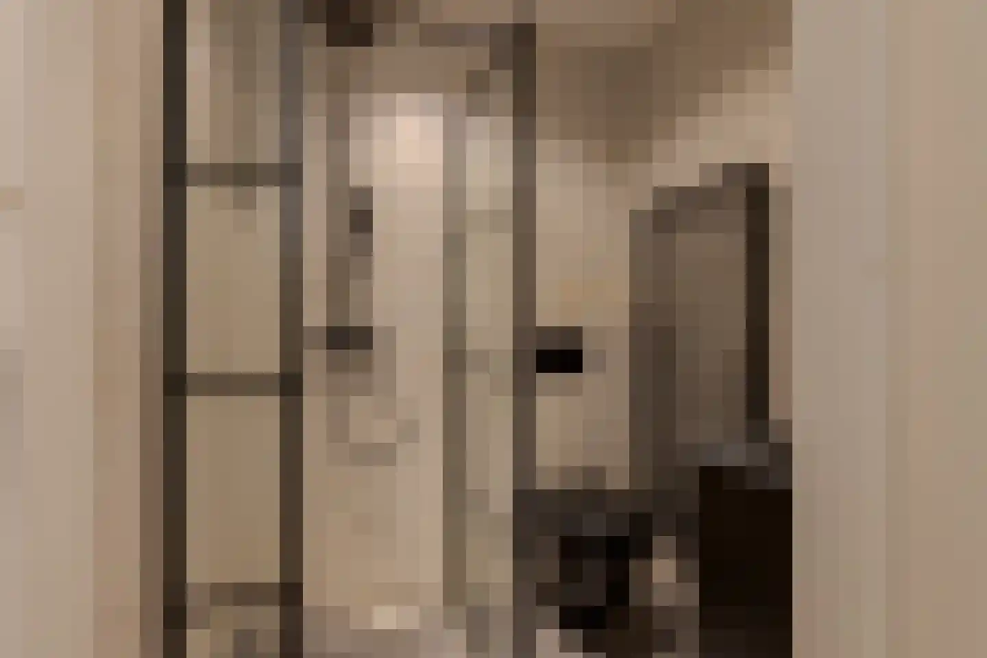 Kraanbolwerkhof 14 Zwolle thumbnail 28