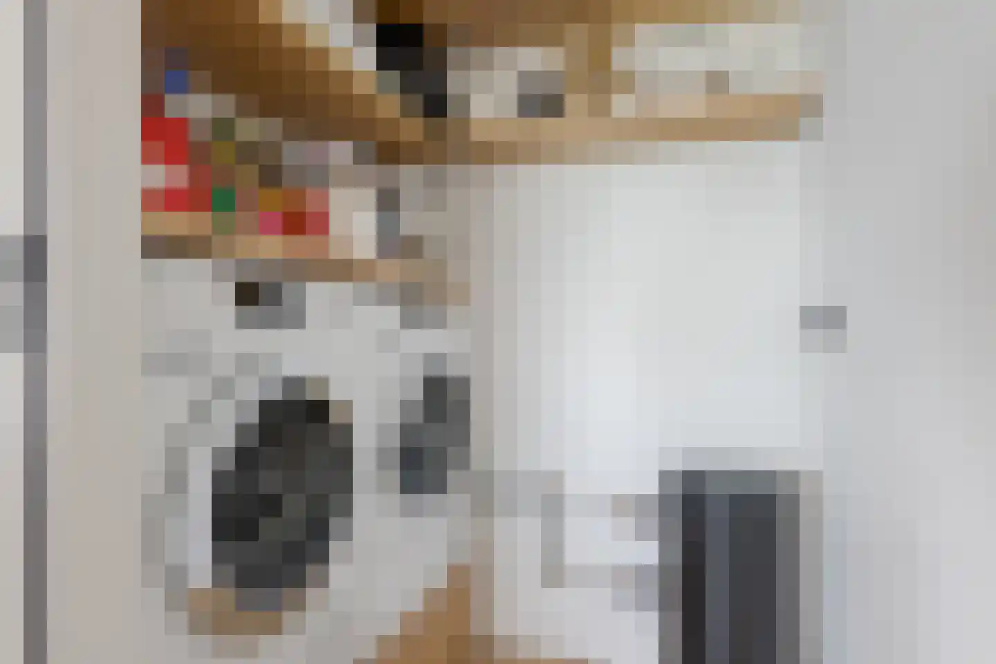 Kraanbolwerkhof 14 Zwolle thumbnail 30