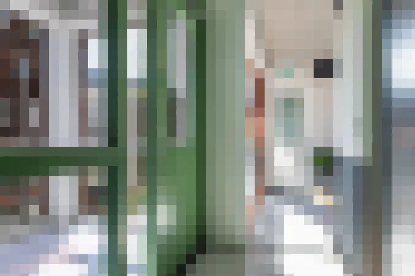 Kraanbolwerkhof 15 Zwolle thumbnail 19