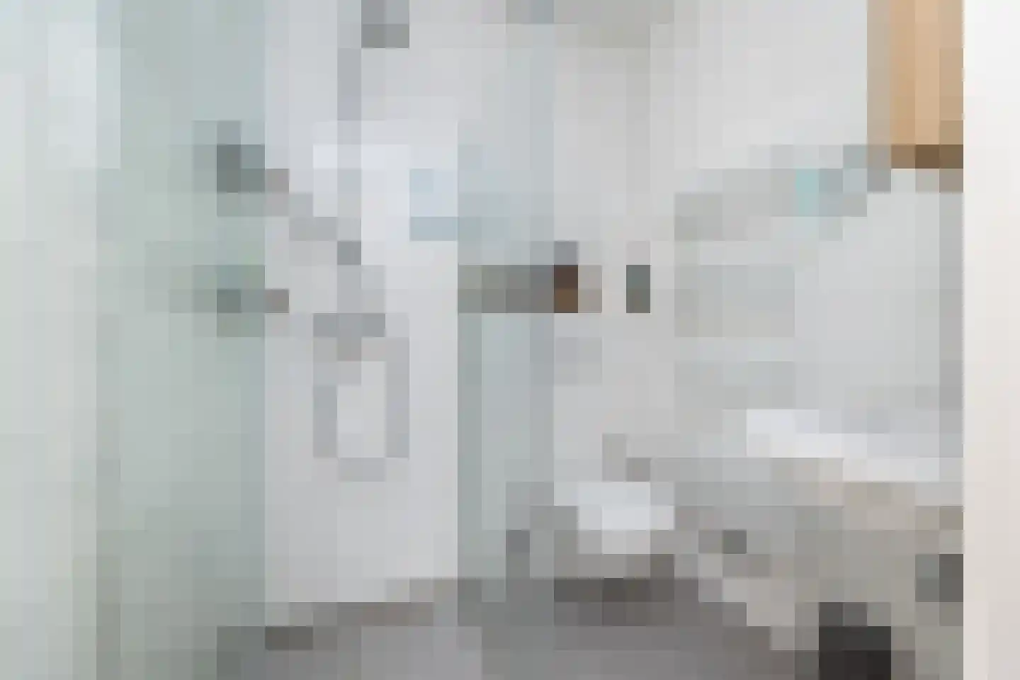 Kraanbolwerkhof 15 Zwolle thumbnail 36