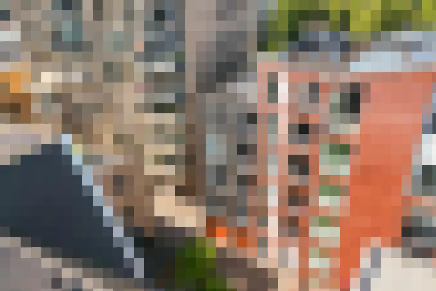 Kraanbolwerkhof 15 Zwolle thumbnail 41