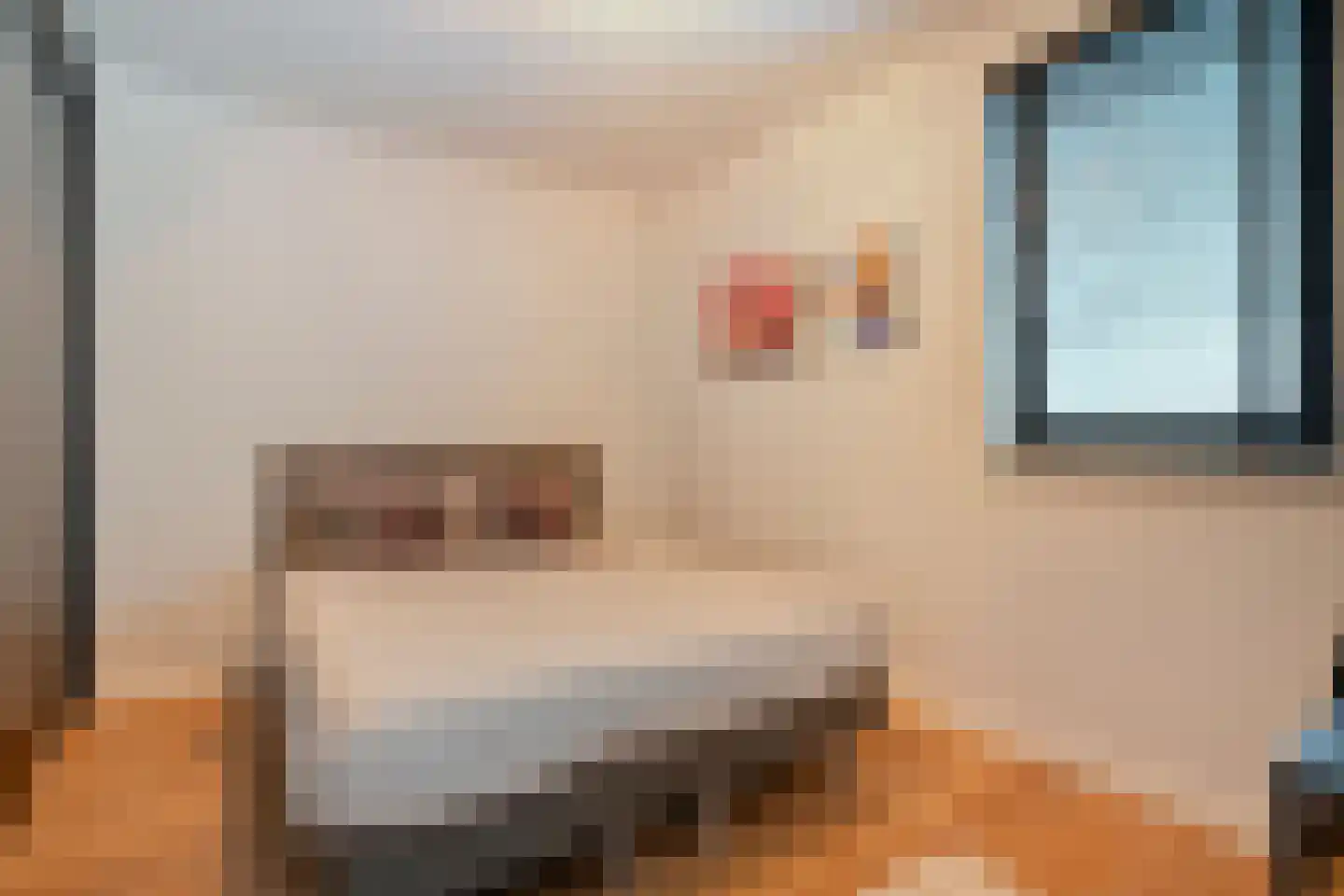 Kraanbolwerkhof 18 Zwolle thumbnail 20
