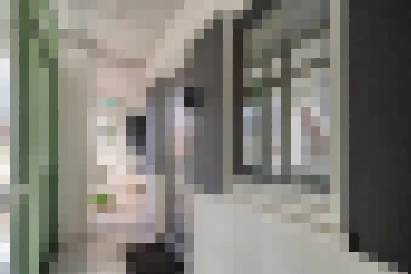 Kraanbolwerkhof 18 Zwolle thumbnail 34