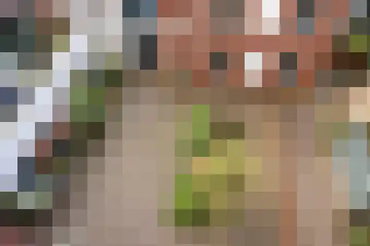 Kraanbolwerkhof 23 Zwolle thumbnail 10