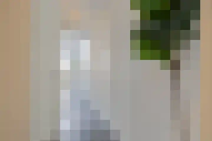 Kraanbolwerkhof 23 Zwolle thumbnail 12