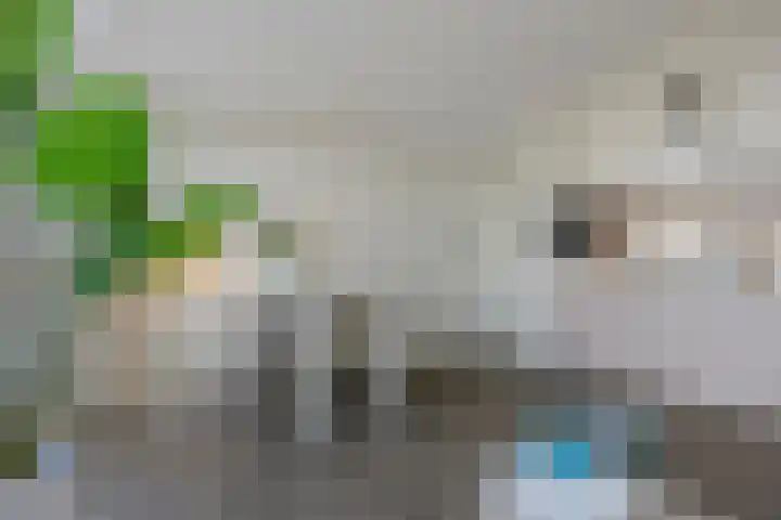 Kraanbolwerkhof 23 Zwolle thumbnail 16