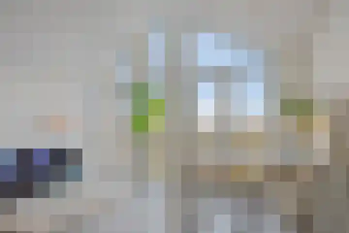 Kraanbolwerkhof 23 Zwolle thumbnail 19