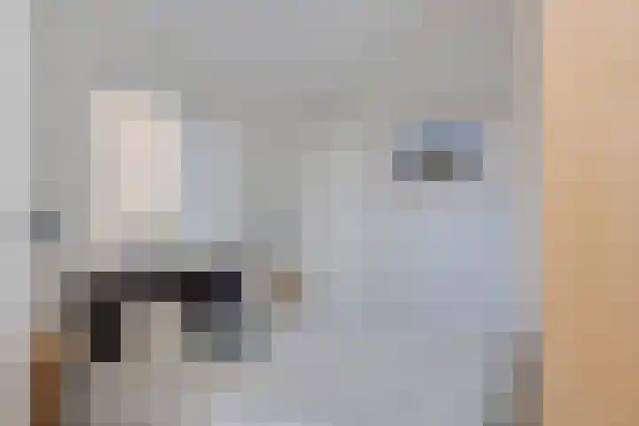 Kraanbolwerkhof 23 Zwolle thumbnail 22