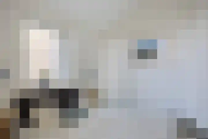 Kraanbolwerkhof 23 Zwolle thumbnail 23