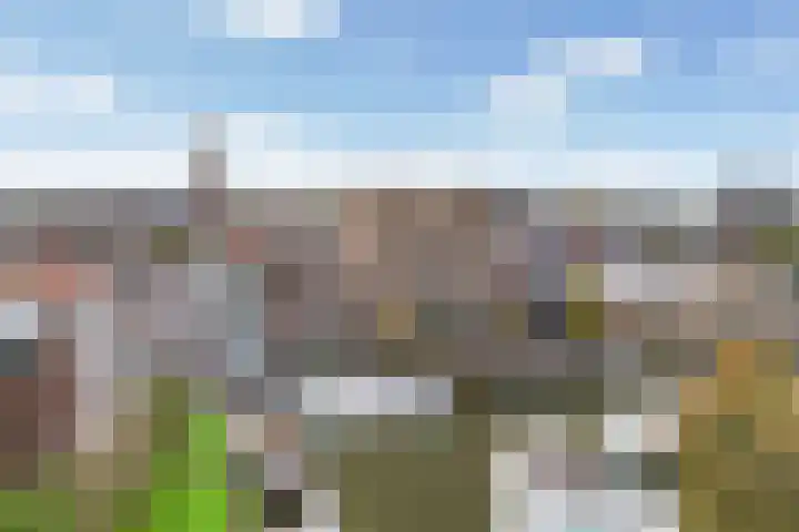 Kraanbolwerkhof 23 Zwolle thumbnail 34