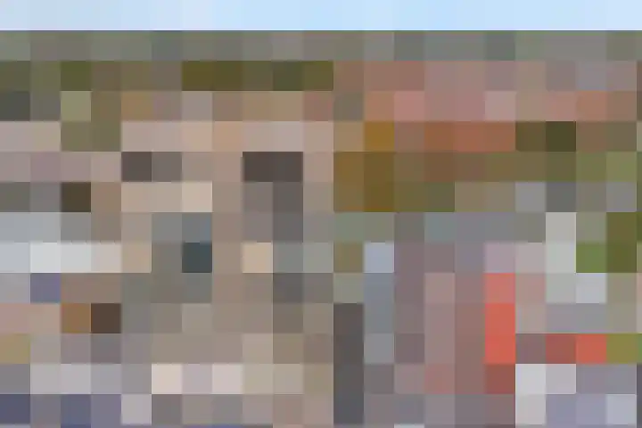Kraanbolwerkhof 23 Zwolle thumbnail 35