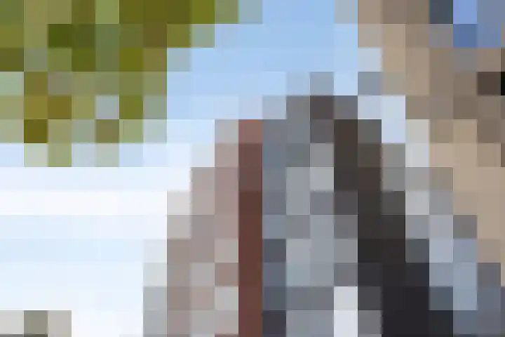 Kraanbolwerkhof 23 Zwolle thumbnail 5