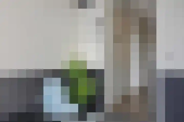 Kraanbolwerkhof 23 Zwolle thumbnail 8