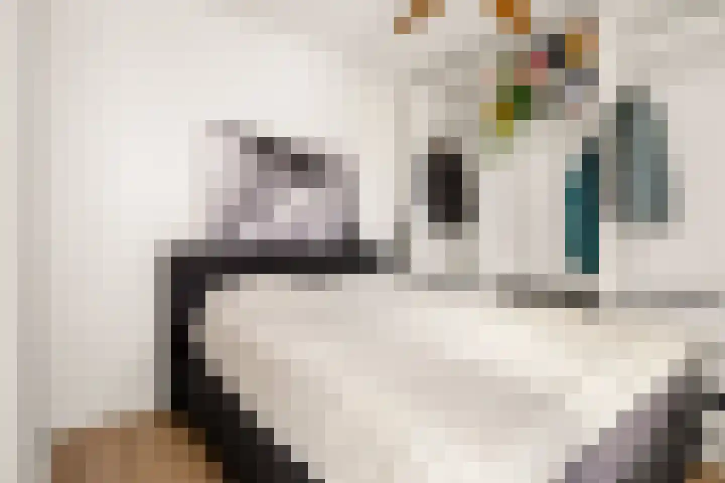 Kraanbolwerkhof 7 Zwolle thumbnail 23