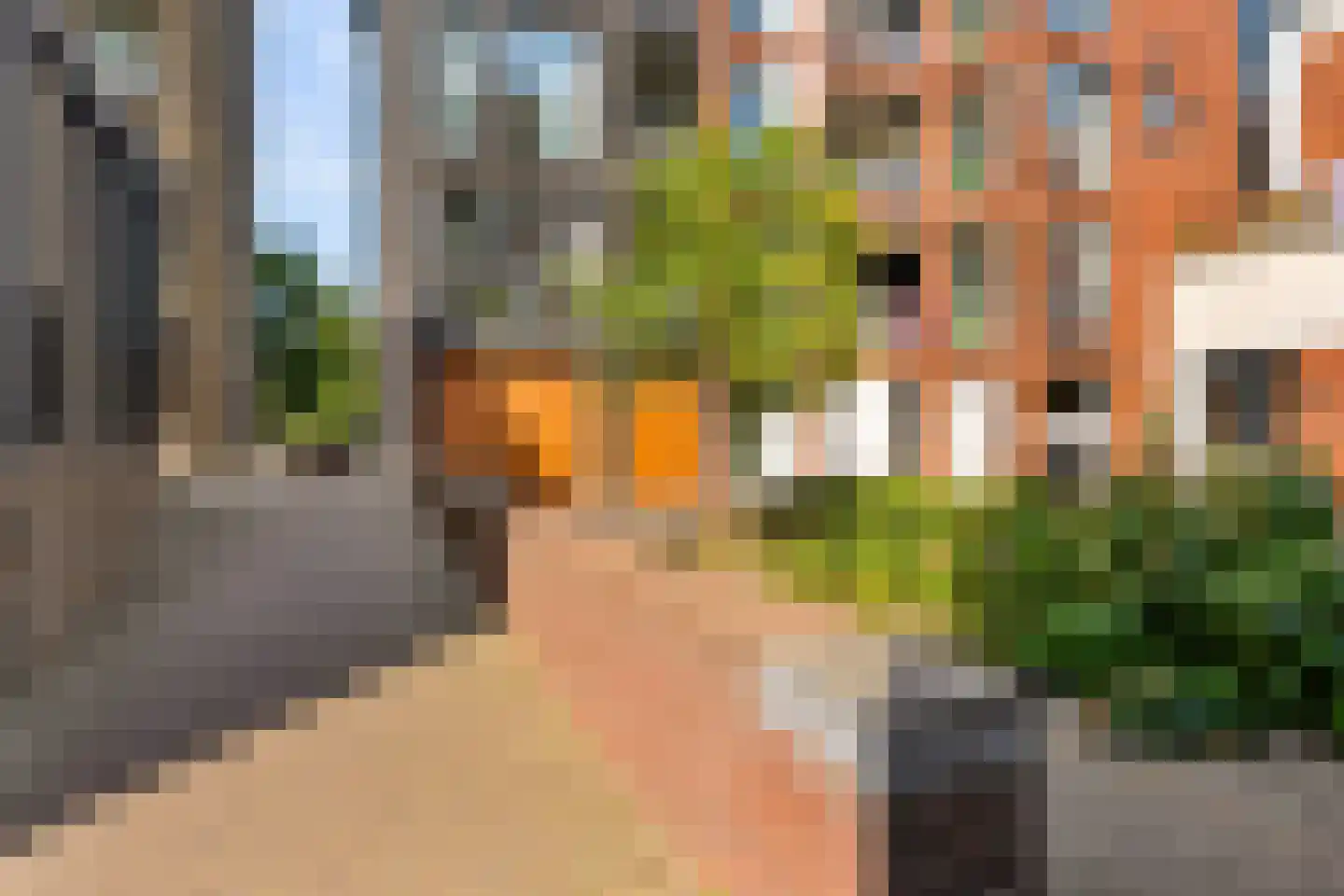 Kraanbolwerkhof 7 Zwolle thumbnail 37