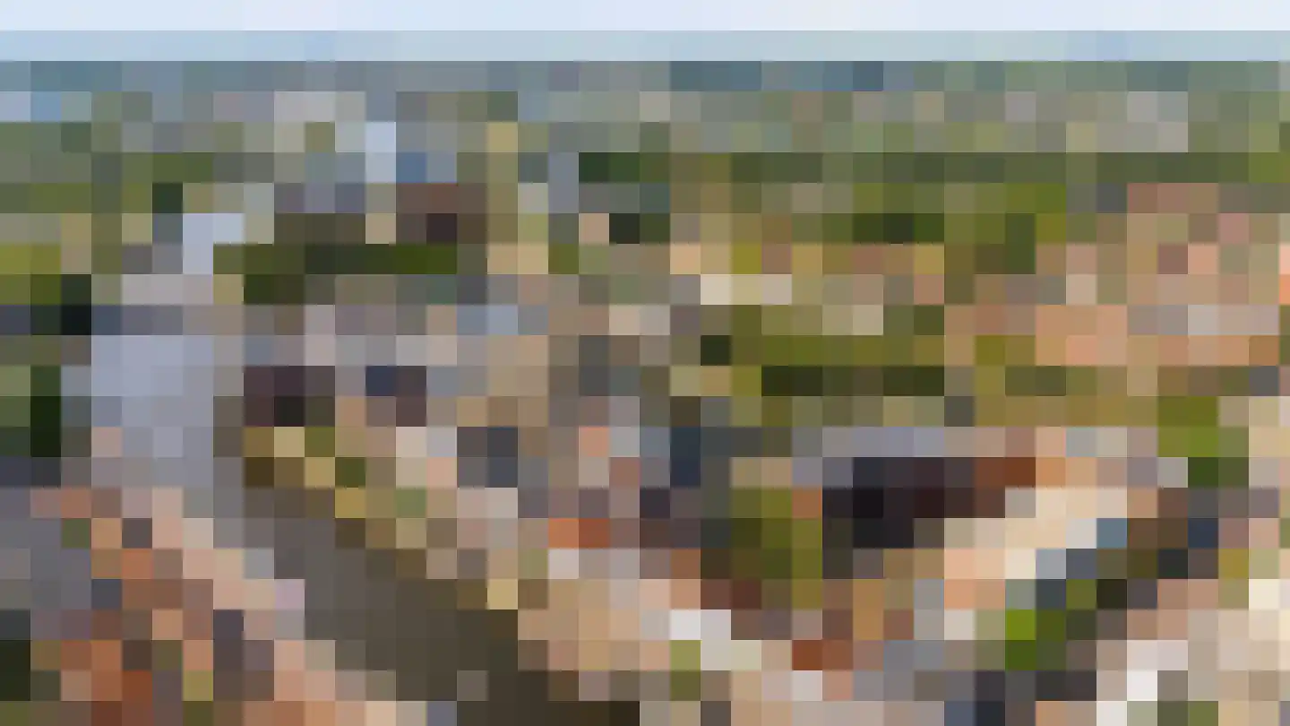 Kraanbolwerkhof 7 Zwolle thumbnail 42