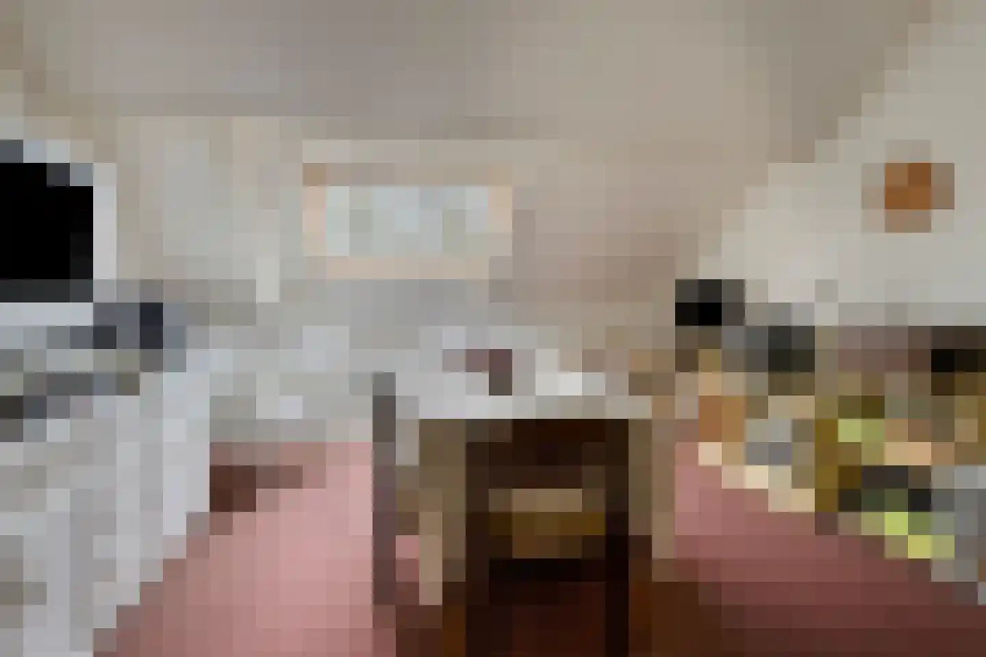 Kraanmeer 3 Erp thumbnail 24