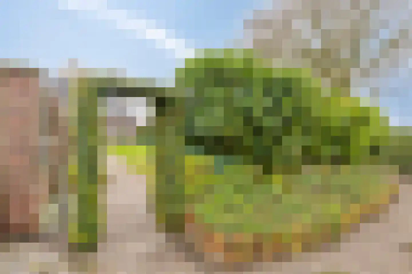 Kraanmeer 3 Erp thumbnail 38