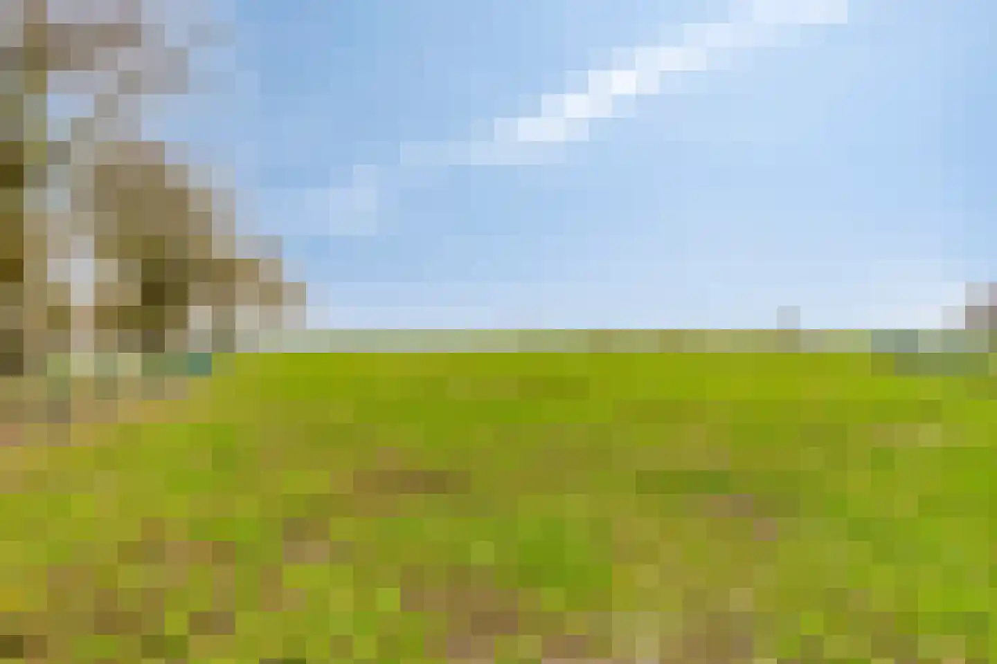 Kraanmeer 3 Erp thumbnail 46
