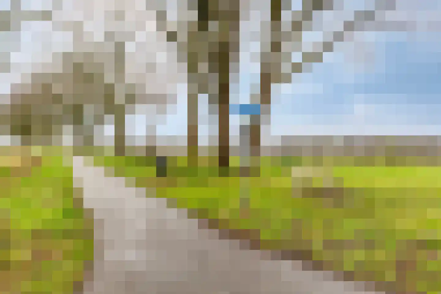 Kraanmeer 3 Erp thumbnail 56