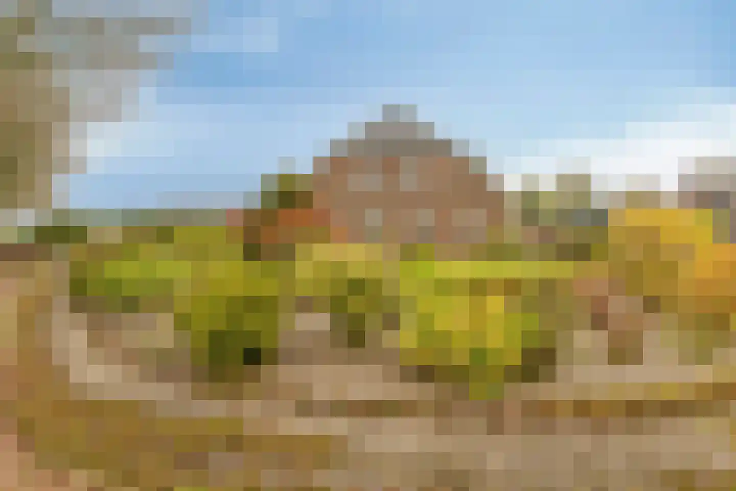 Kraanmeer 3 Erp thumbnail 58