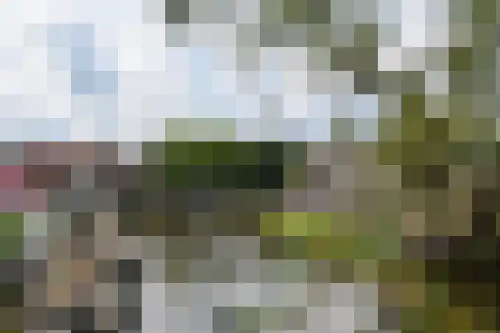 Kraanpoort 11 A Roermond thumbnail 18